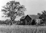 photo_roberson_homestead.GIF (8750 bytes)